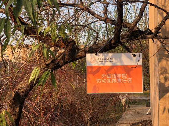 微信图片_20191203163816